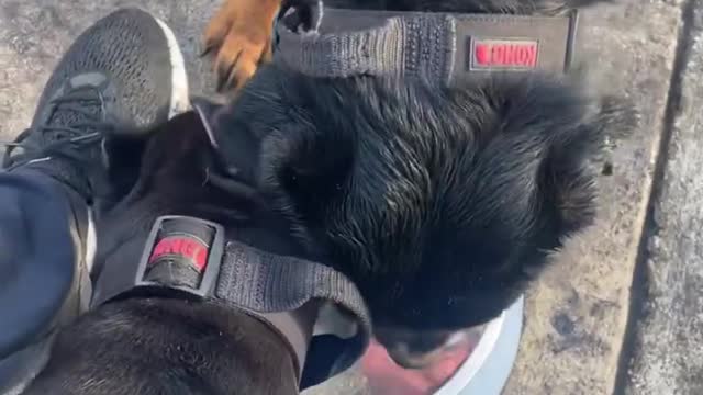 SHARING SIBLINGS