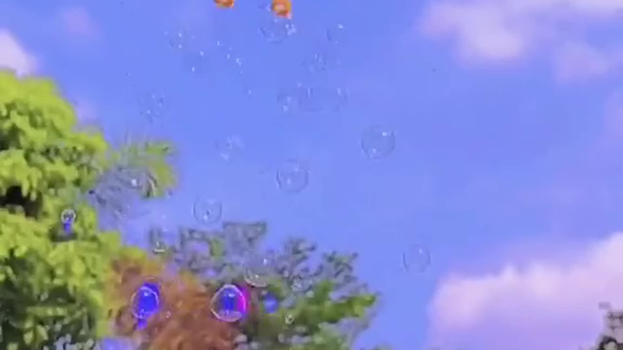 Flying Toys
