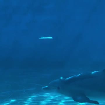 So many incredible things go unnoticed everyday all the time. I’m happy to have captured this one