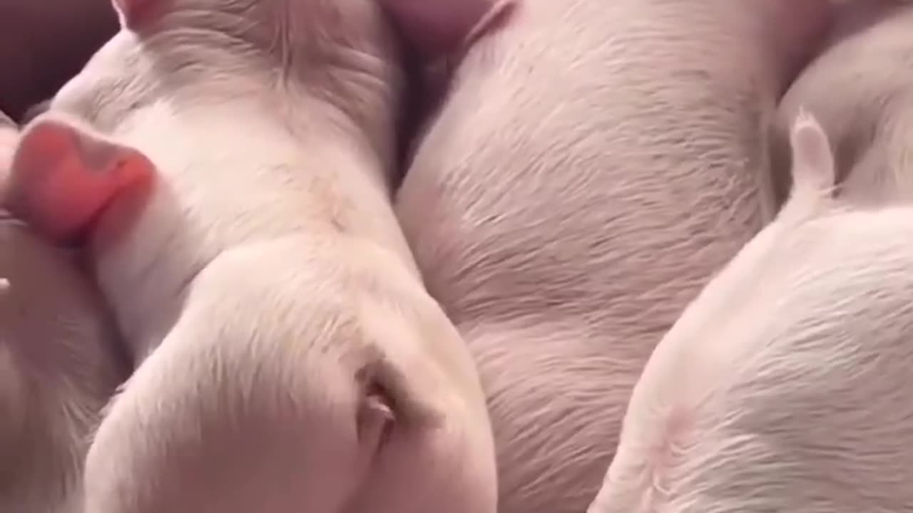 Little One is So Sweet