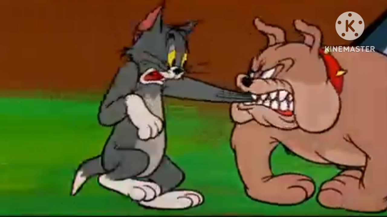 Funny video