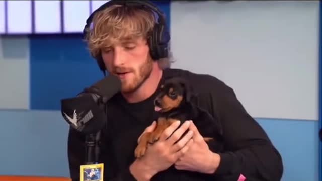 Logan PaulShows Off"his New Puppy on Live