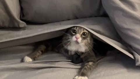 Here I am if you are ready to say sorry