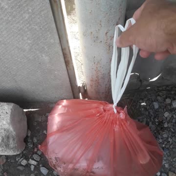 We take out the garbage