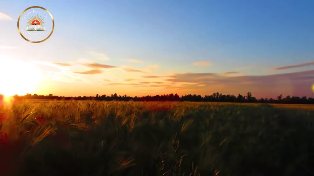 Como a Oração Pela Palavra do Salmos 19, Pode te Inspirar ???