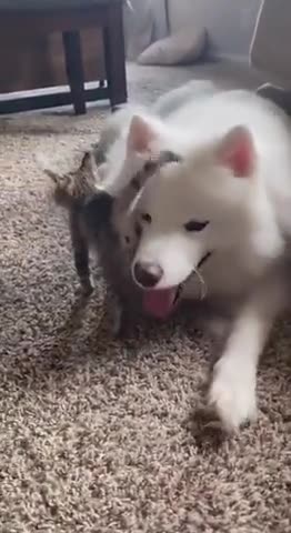 Best buds for life ctto @Wynter-wena