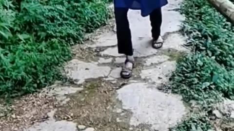 Cuộc sống vùng cao #16 _ Ông Bà lưng còng _ Clip cảm động _ Touching clip