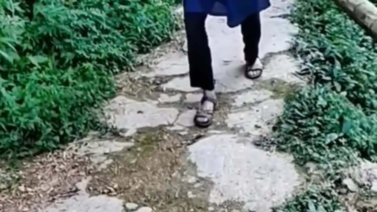 Cuộc sống vùng cao #16 _ Ông Bà lưng còng _ Clip cảm động _ Touching clip