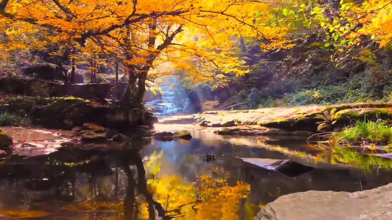 Enchanting Autumn Forests with Beautiful Piano Music