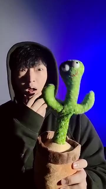 Cactus vs Beatbox