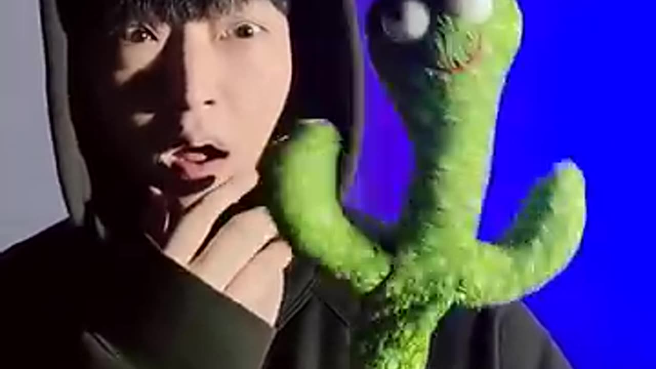 Cactus vs Beatbox