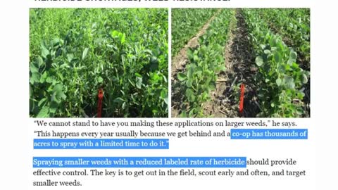 2022 Global Agriculture Dilemma