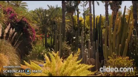 BEST PLACES IN MORROCO