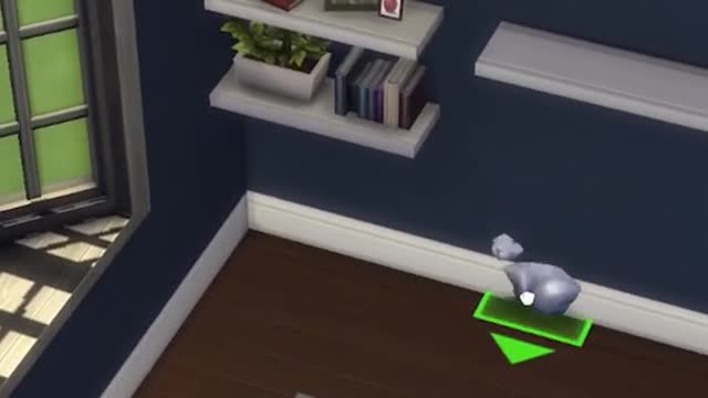 How to raise and lower objects in The Sims 4!