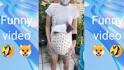 Funny Animals 2024 😂 !! Try not to laugh challenge 🤣 !! #funny #viral #ruble