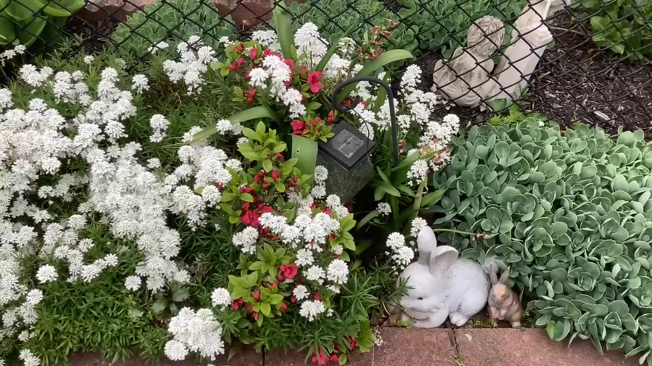 Backyard garden