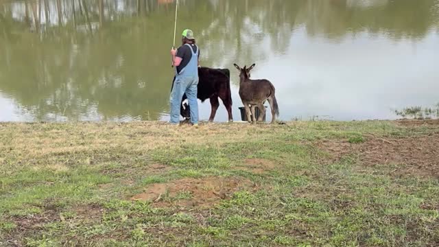 Fisherman Joined by Animal Friends