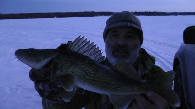 Ice Fishing Walleye caught on a tip up