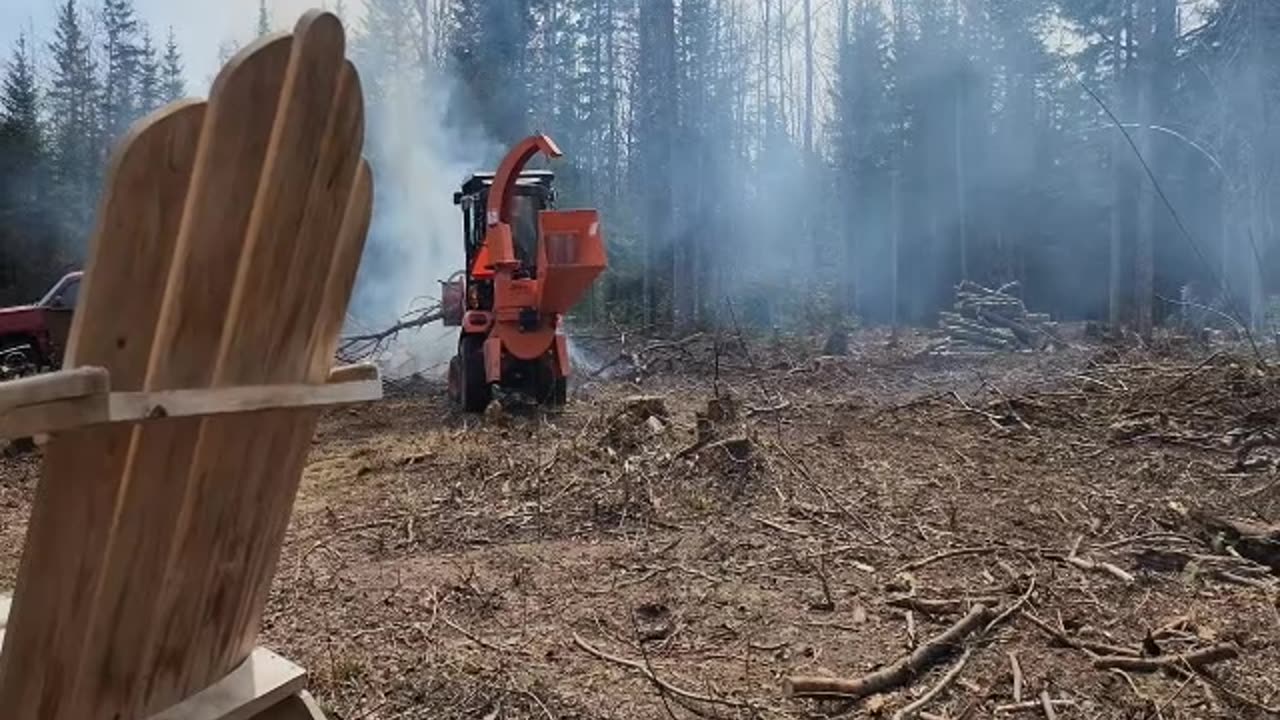 Cleaning Up Trees and Brush, Making Logs