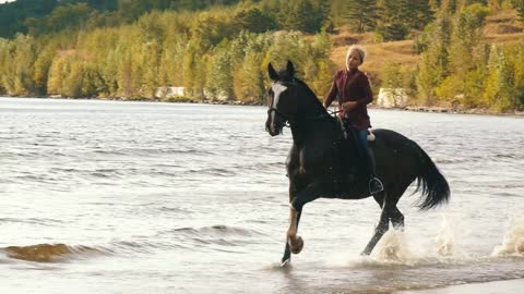 young pretty girl riding horse in river water