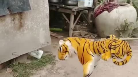 Dog prank by fake lion and tiger