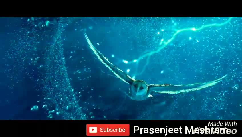 Amazing 3d Bird's Clip Video By Prasenjeet Meshram