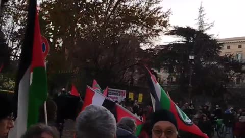 Presidio per la Palestina a Roma il 21/12/2024