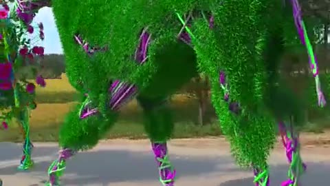 Making horses ,not a real