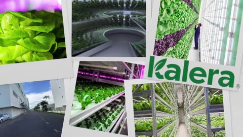 The EPIC Failure of Vertical Farms - What Happened