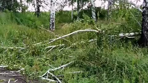 Update on the ambush of the Russia truck near Belgrod
