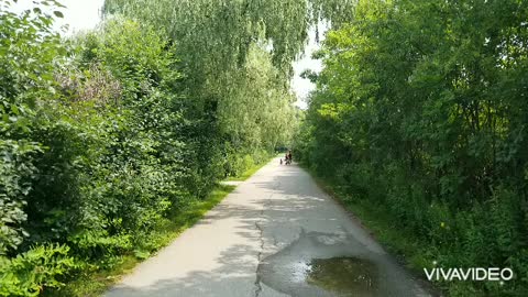 The High Park Run