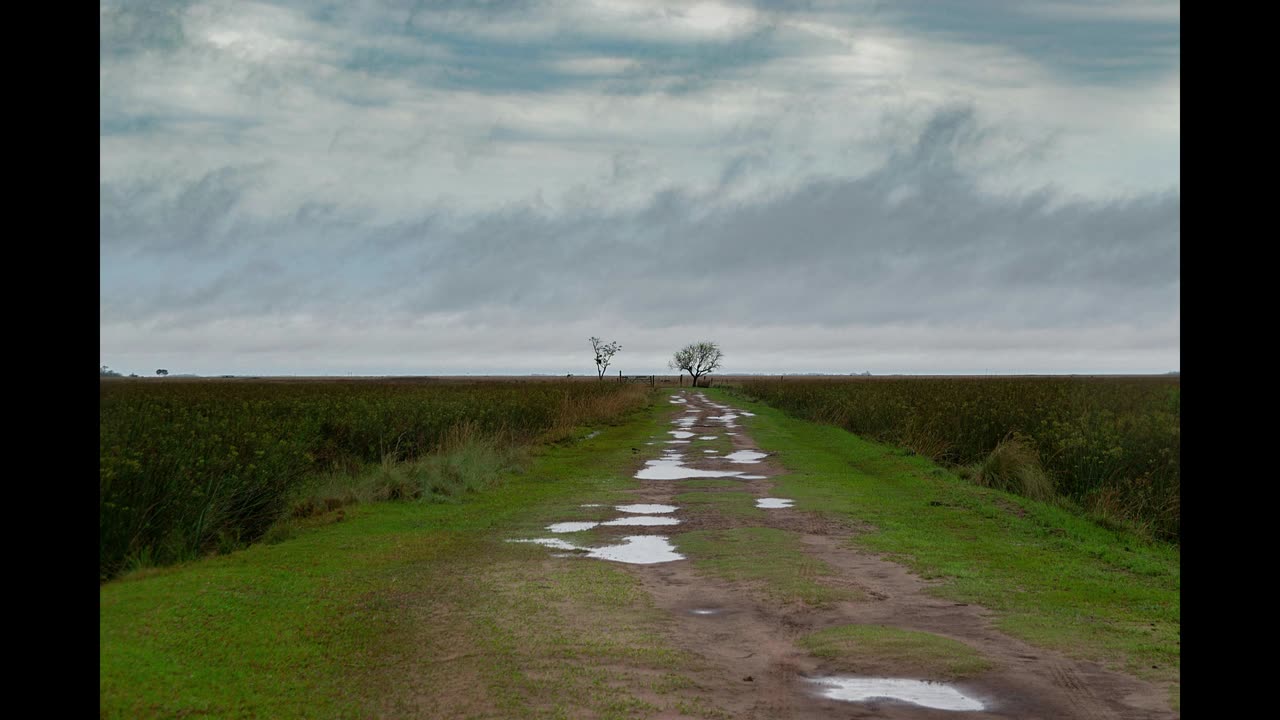 Going for A Walk After It's Been Raining. Relaxing sounds. Drift into your own happiness.