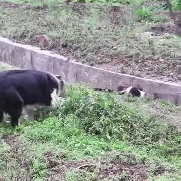 Mom will save you❤❤