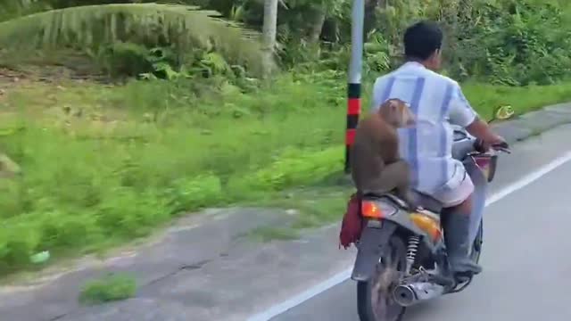 Thailand's Pa'an Island will take you for a ride