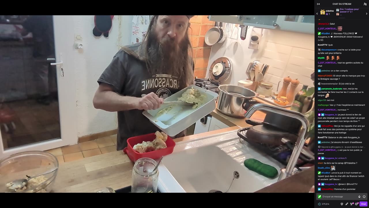 2023-03-29 (5bis) - Refus de logement social - Twitch Triskelina (version avec chat)