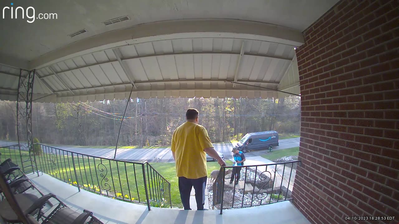 Dog Chases Amazon Driver