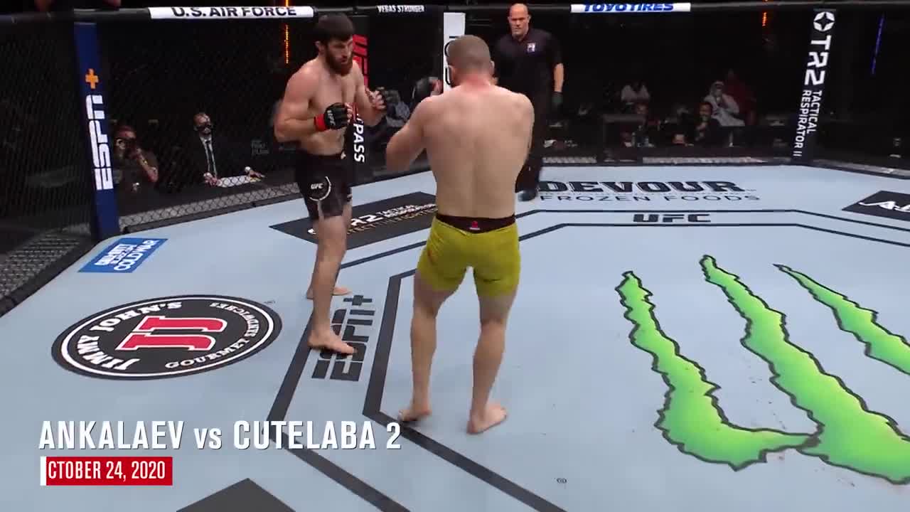 Magomed Ankalaev _ Top Knockouts