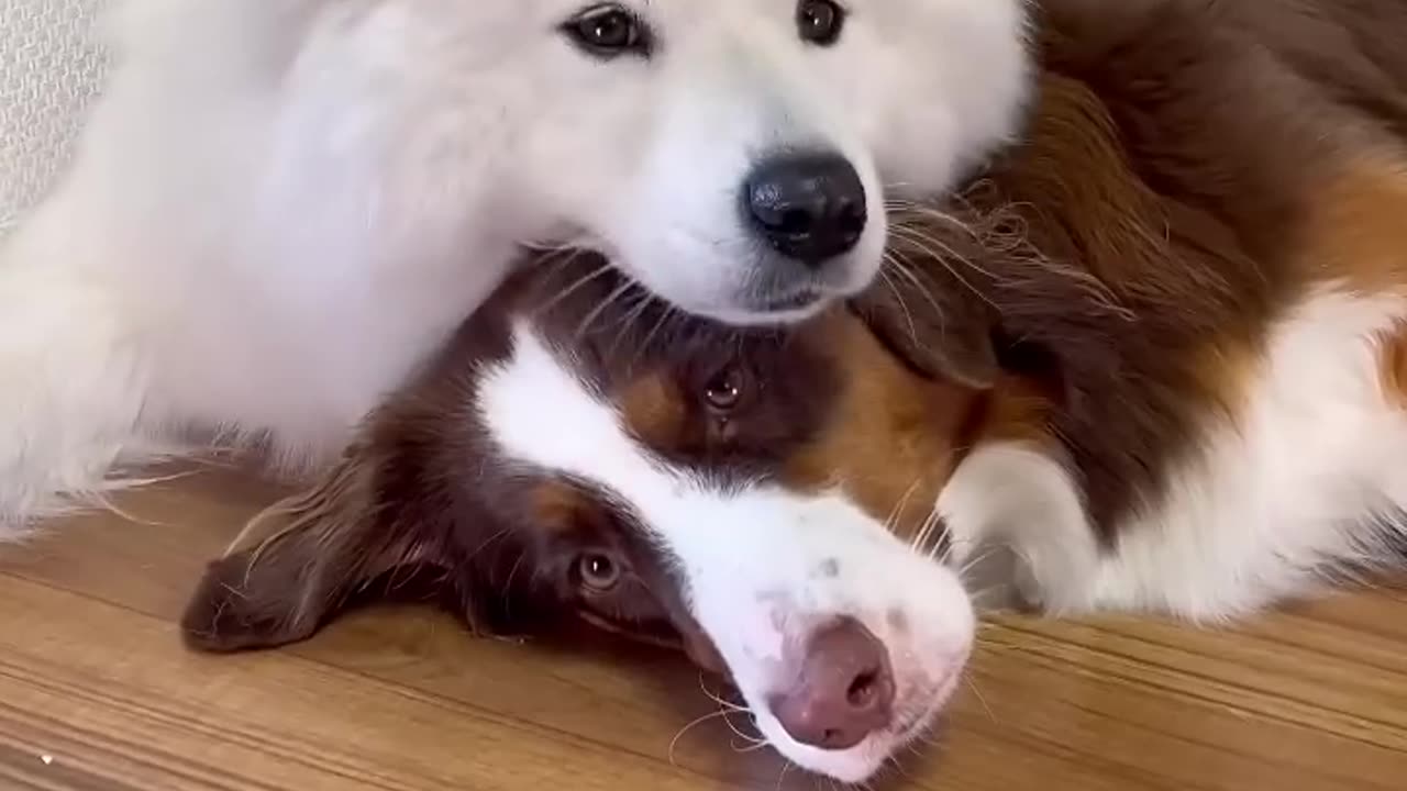 When you finally found that ✨BEST FRIEND✨ 🥹