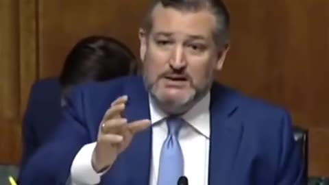 Witness calls Ted Cruz RACIST, Instantly REGRETS it