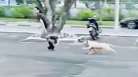 Girl and dogs running