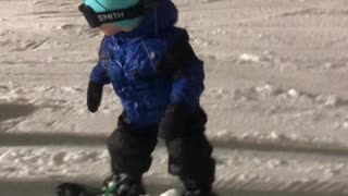 Mini shredder