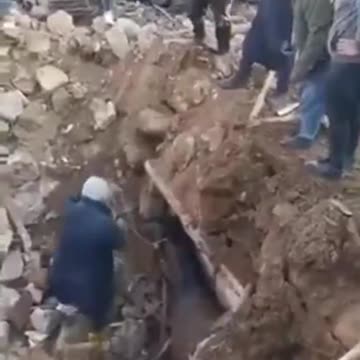 Horse pulled from rubble 21 days after quake