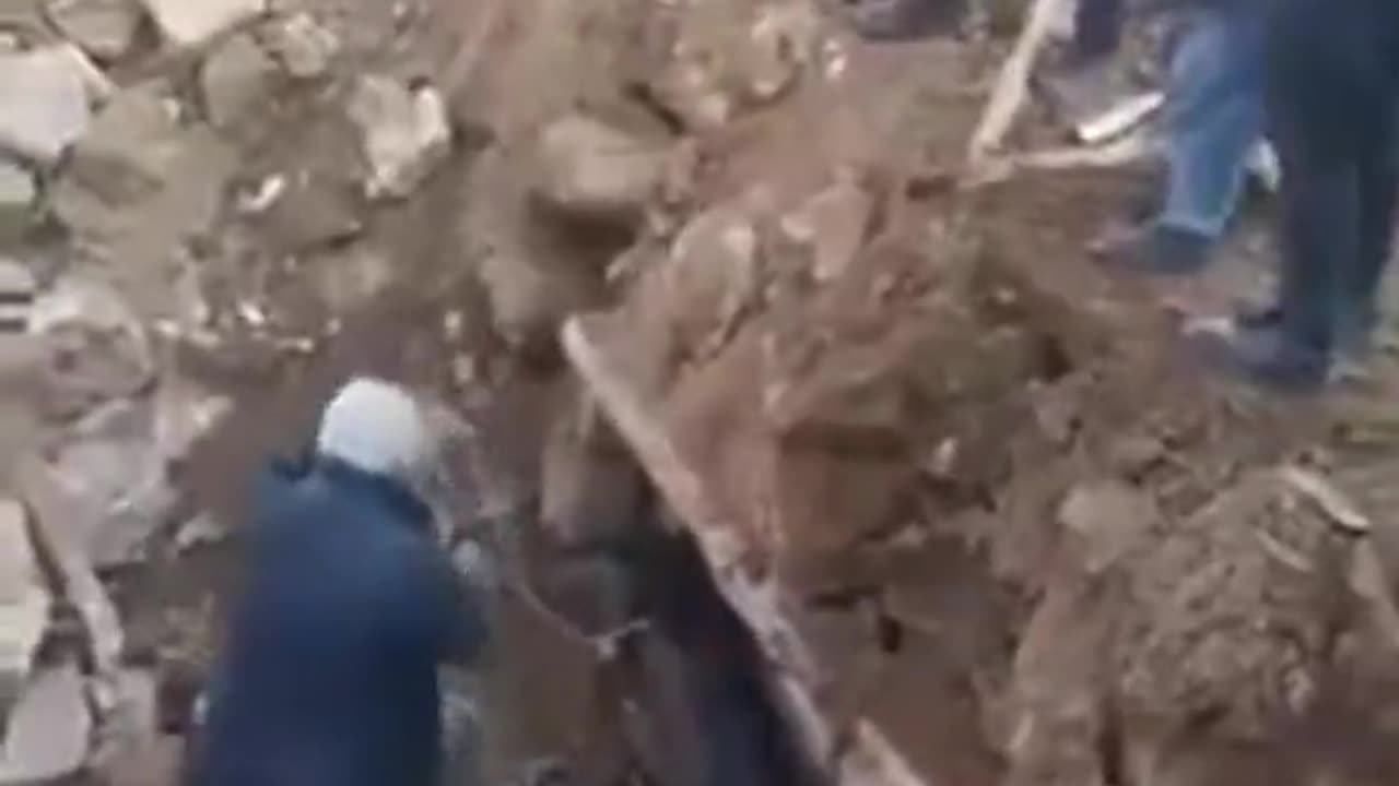 Horse pulled from rubble 21 days after quake