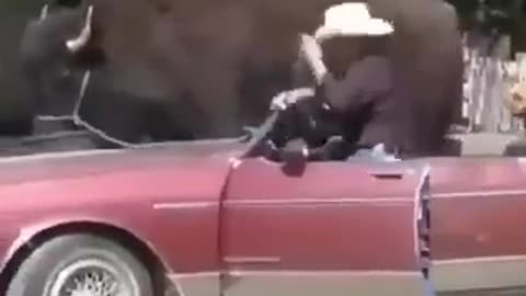 Ayo 😳
