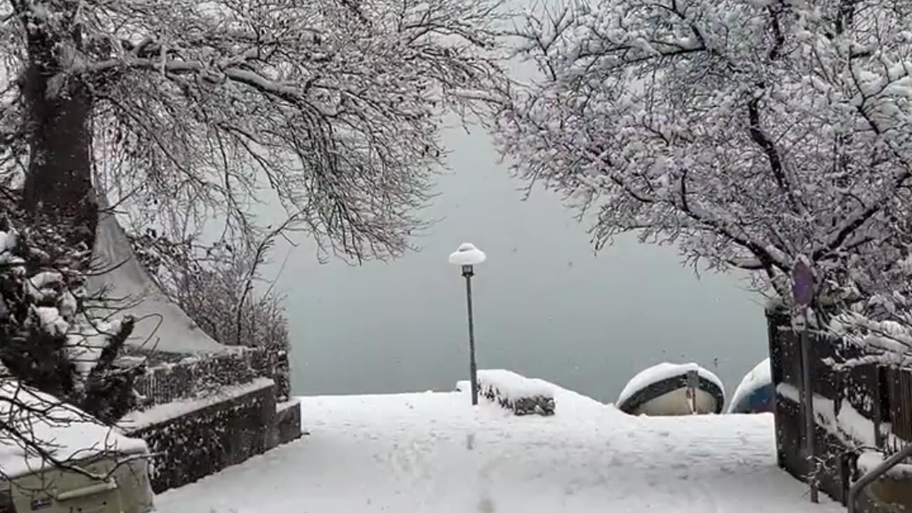 Beauty Of Our Land