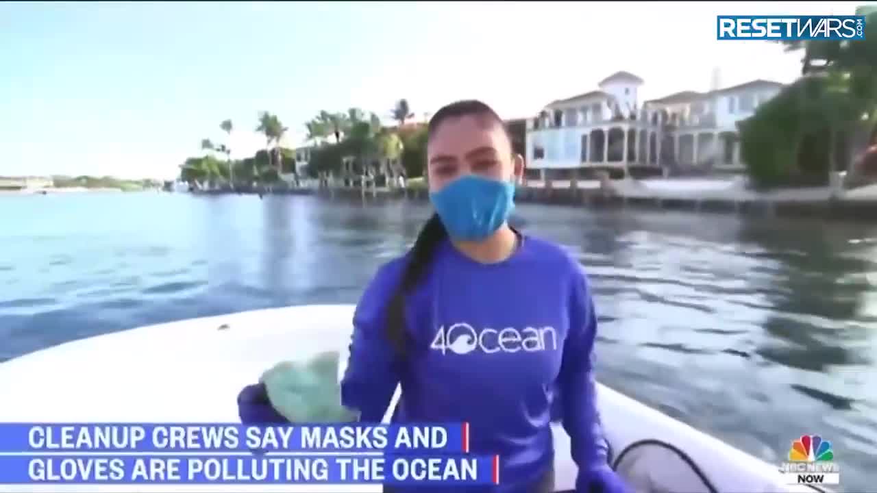 What have they done to us?