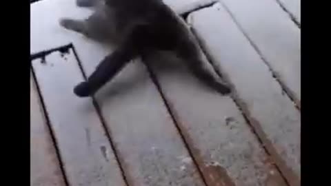 Wow, how cold the snow is