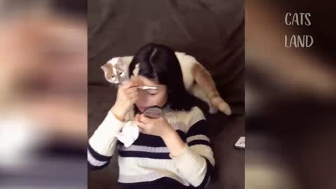 OMG So Cute Cats ♥ Best Funny Cat Videos 2021