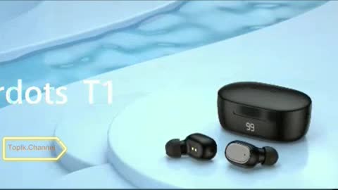 Earphone 1