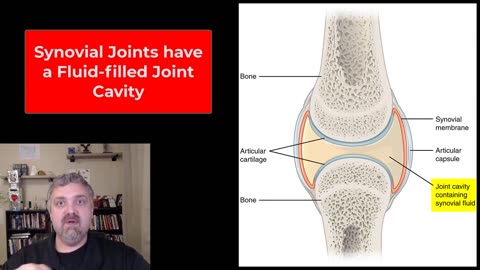 Joint Genesis™